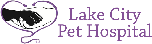 Lake City Pet Hospital